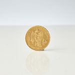 590647 Gold coins